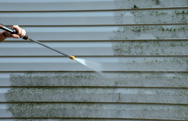Best Deck Pressure Washing  in Woodland Park, CO