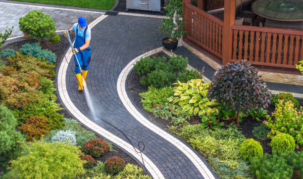 Best Deck Pressure Washing  in Woodland Park, CO