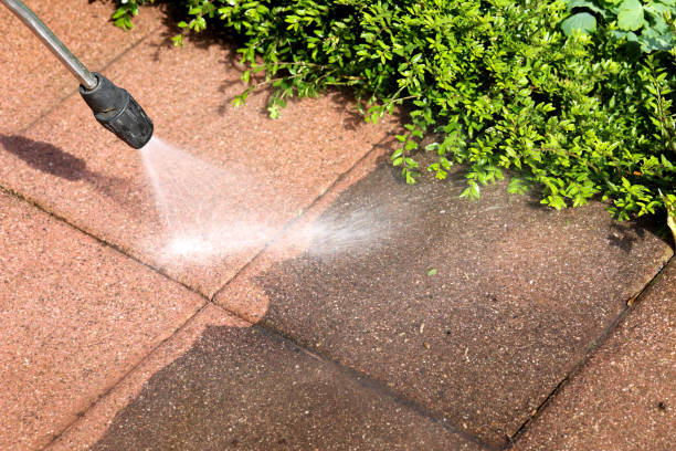 Best Residential Pressure Washing Services  in Woodland Park, CO