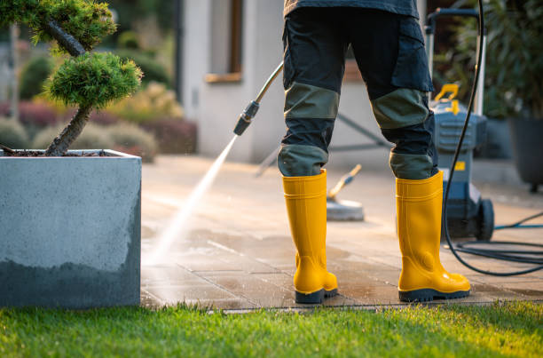 Best Deck Cleaning Services  in Woodland Park, CO